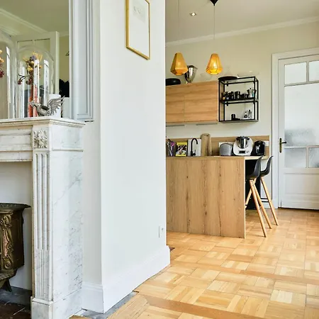 Luxueux Haussmannien - Lille - Parking Prive *